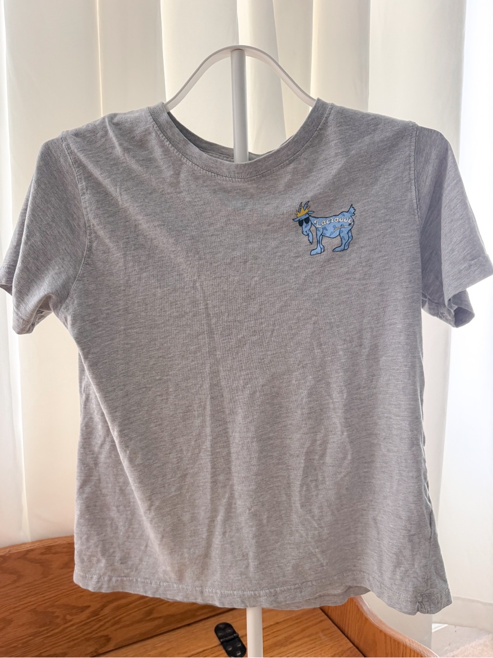 Kids Short Sleeve Gray Tee with Blue Graphic Dog - Casual Everyday Top